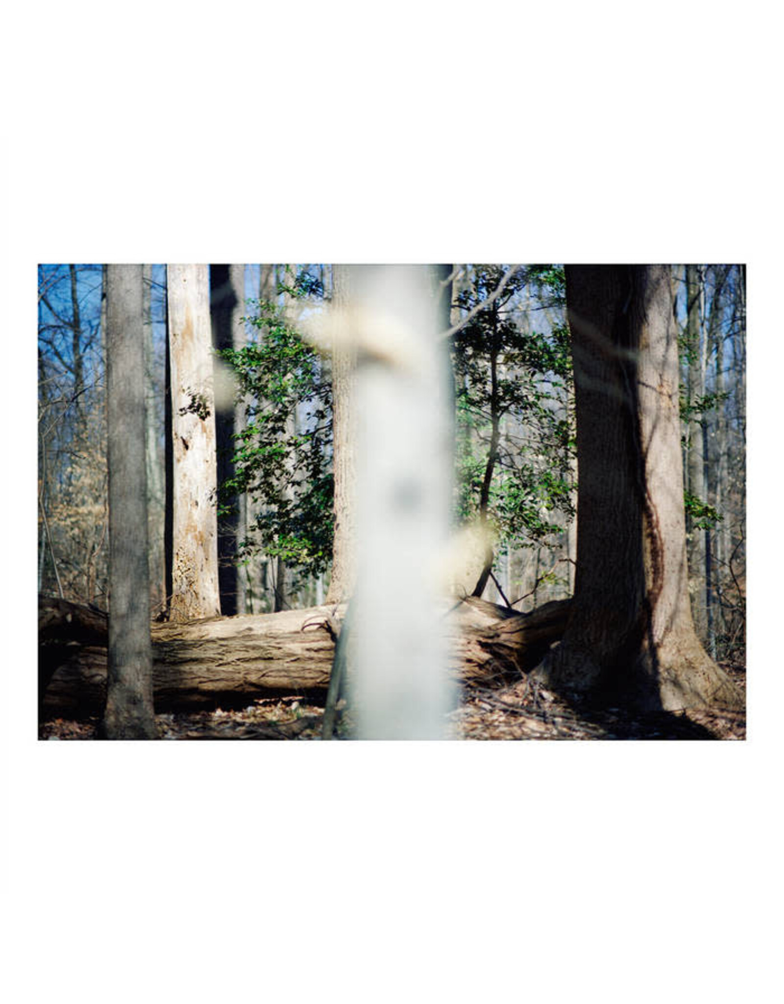 Dillon, Beatrice: Seven Reorganisations LP