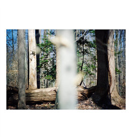 Dillon, Beatrice: Seven Reorganisations LP