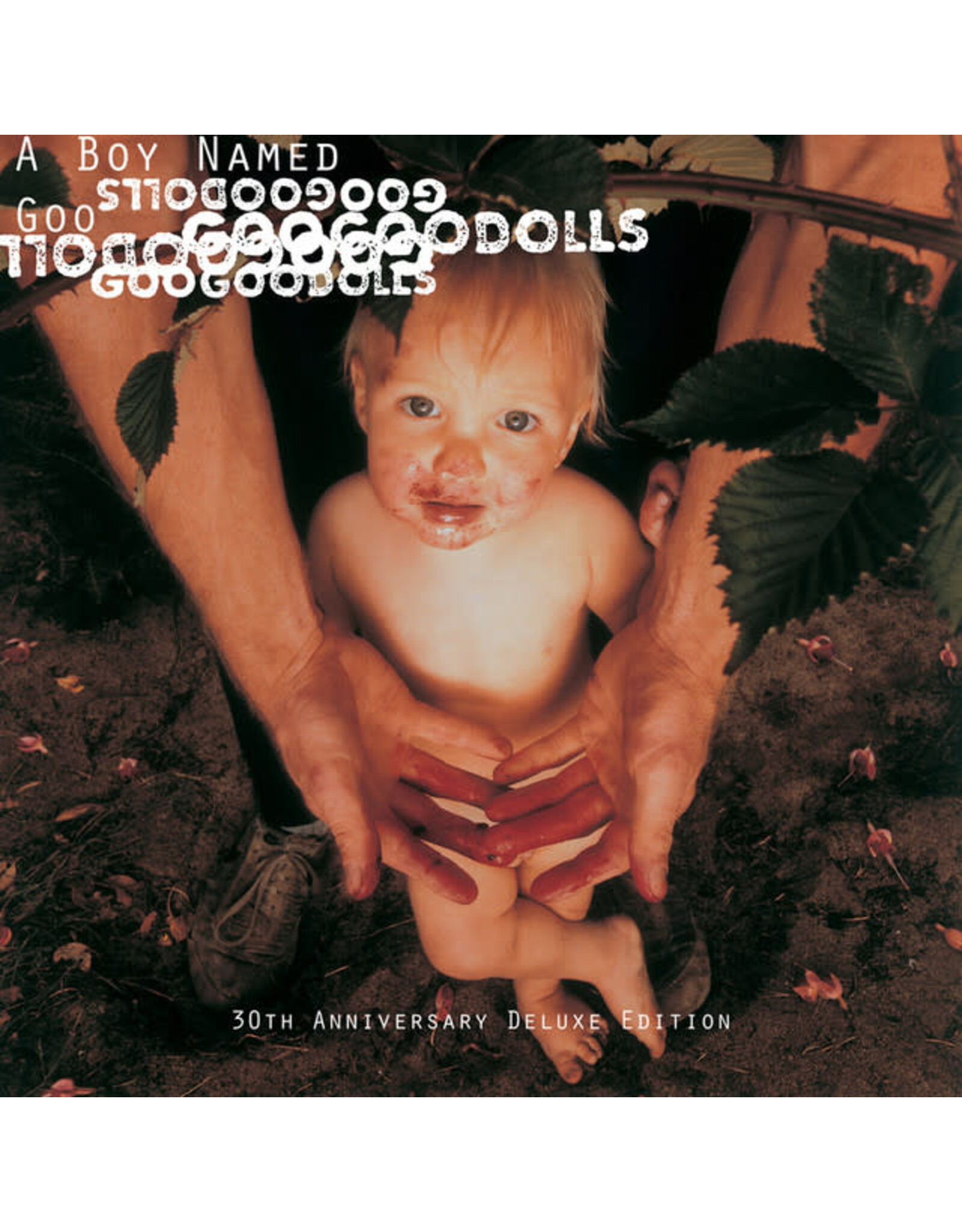 Warner Goo Goo Dolls: A Boy Named Goo (30th Anniversary Deluxe Edition) LP