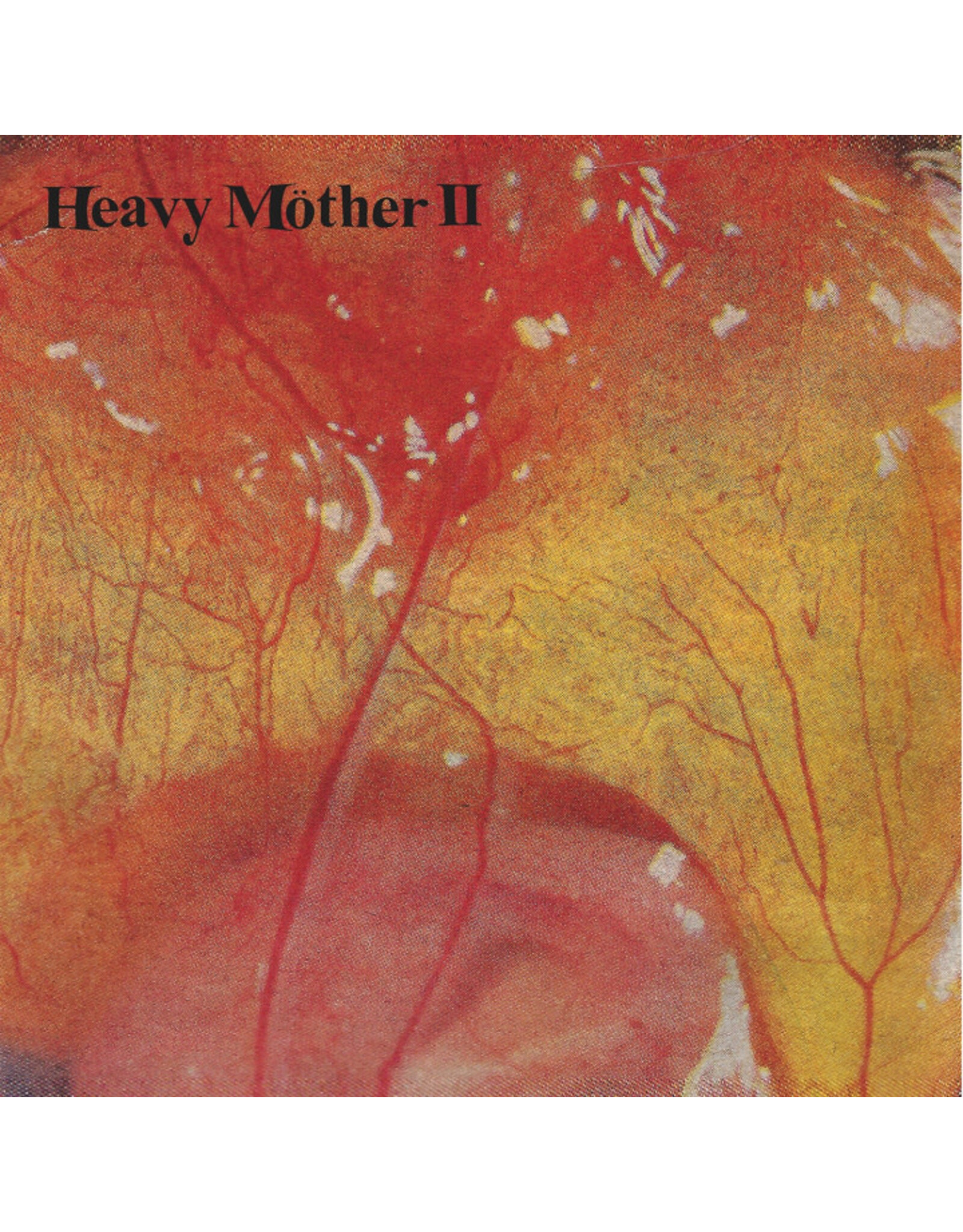 Heavy Mother II: s/t LP