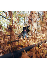 Backwoodz Woods, Billy: Golliwog LP