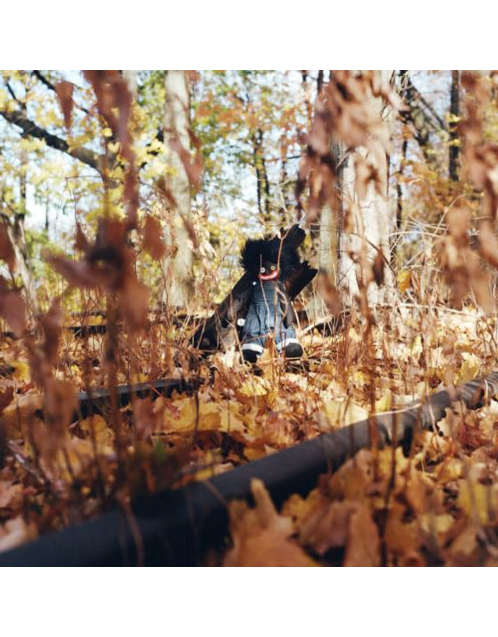 【日本限定盤】billy woods - GOLLIWOG 2LP OBI Billy Woods Golliwog Japan Limited Edition 2LP Obi, Rare 500