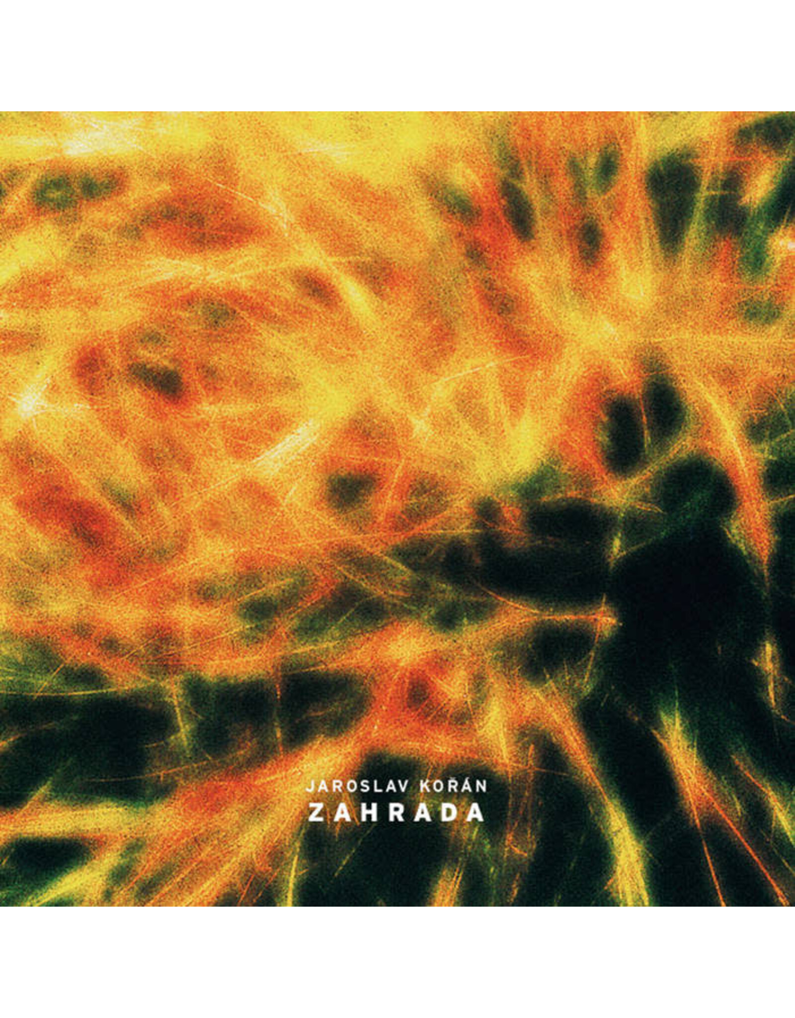Infinite Expanse Kořán, Jaroslav:  Zahrada LP
