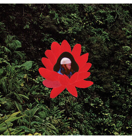 Stones Throw Lionmilk: WHEN THE FLOWERS BLOOM LP