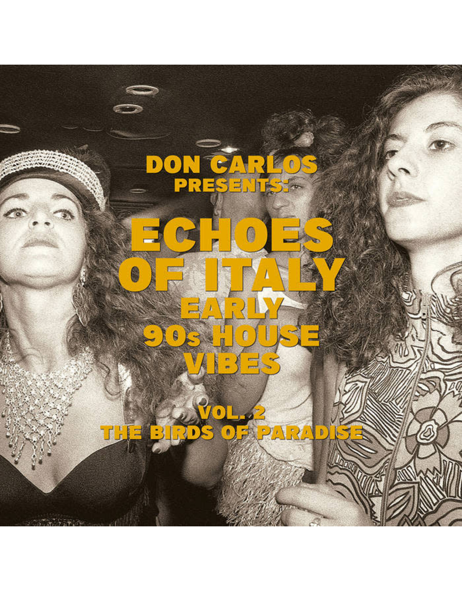 Space Echo Various: Echoes of Italy - The Birds of Paradise - Early 90s House Vibes Vol. 2 LP