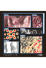 Constellation Tatsu Saapato: Decomposition: Fox On A Highway CS