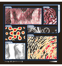Constellation Tatsu Saapato: Decomposition: Fox On A Highway CS