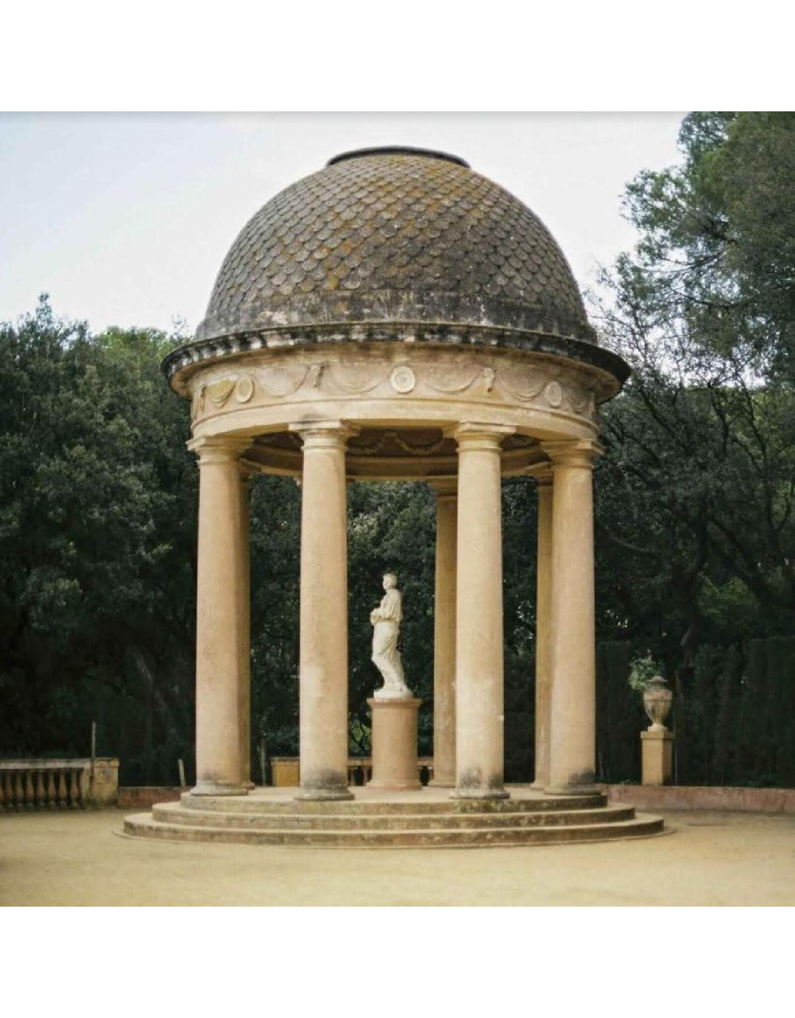 Carpark Ducks Ltd.: Harm's Way ("GASOLINE" TAN VINYL) LP