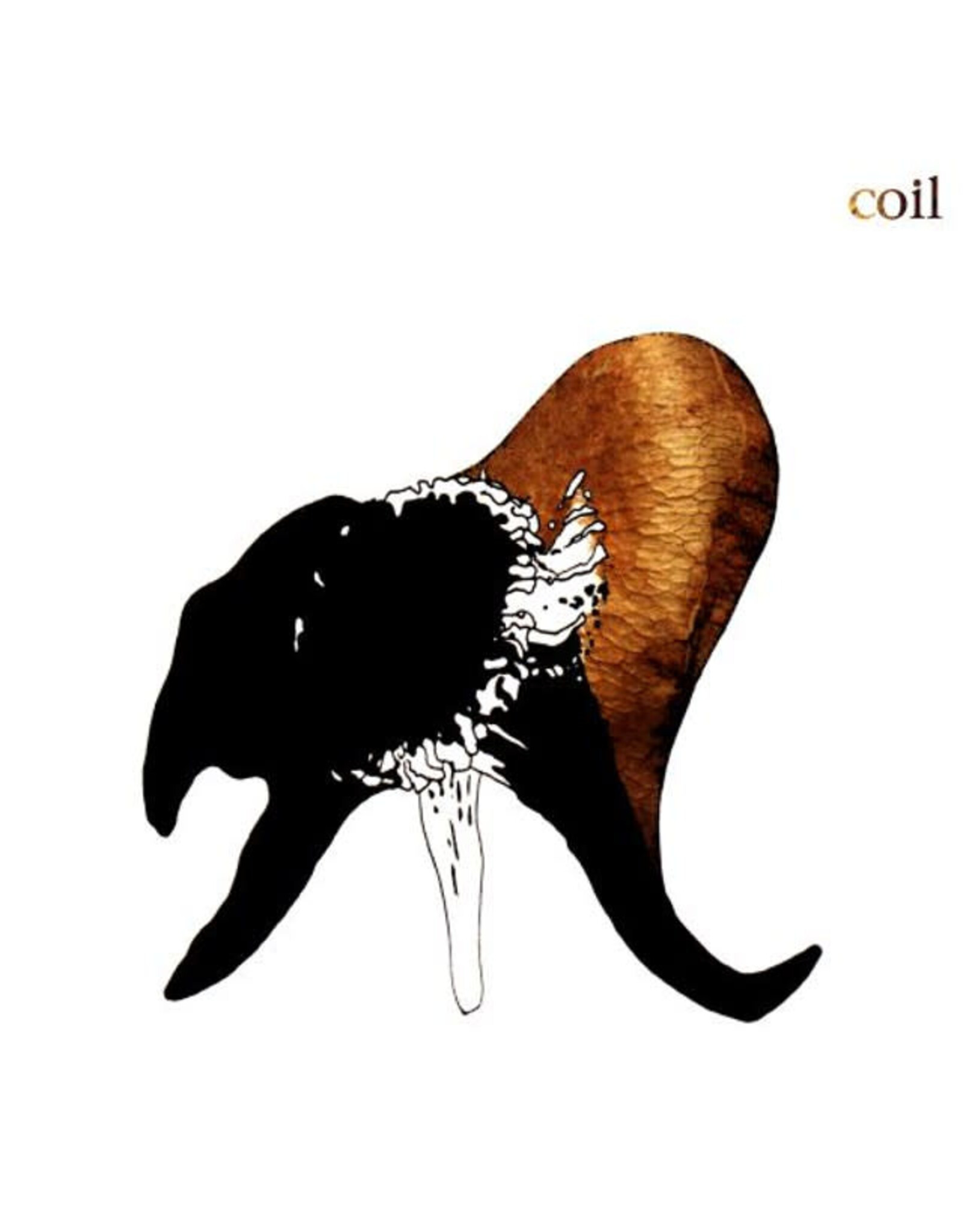 Dais Coil: Black Antlers (2LP-clear vinyl) LP