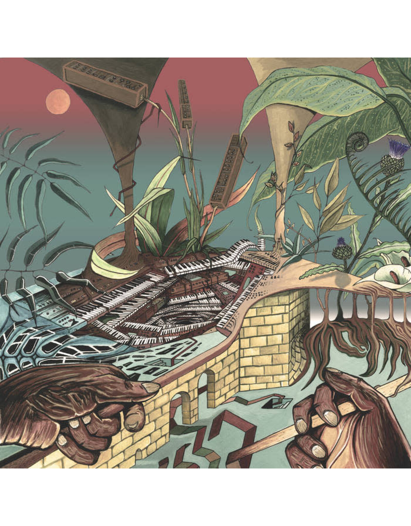Comet Nu Guinea: The Tony Allen Experiments (Afrobeat Makers Vol 3) LP