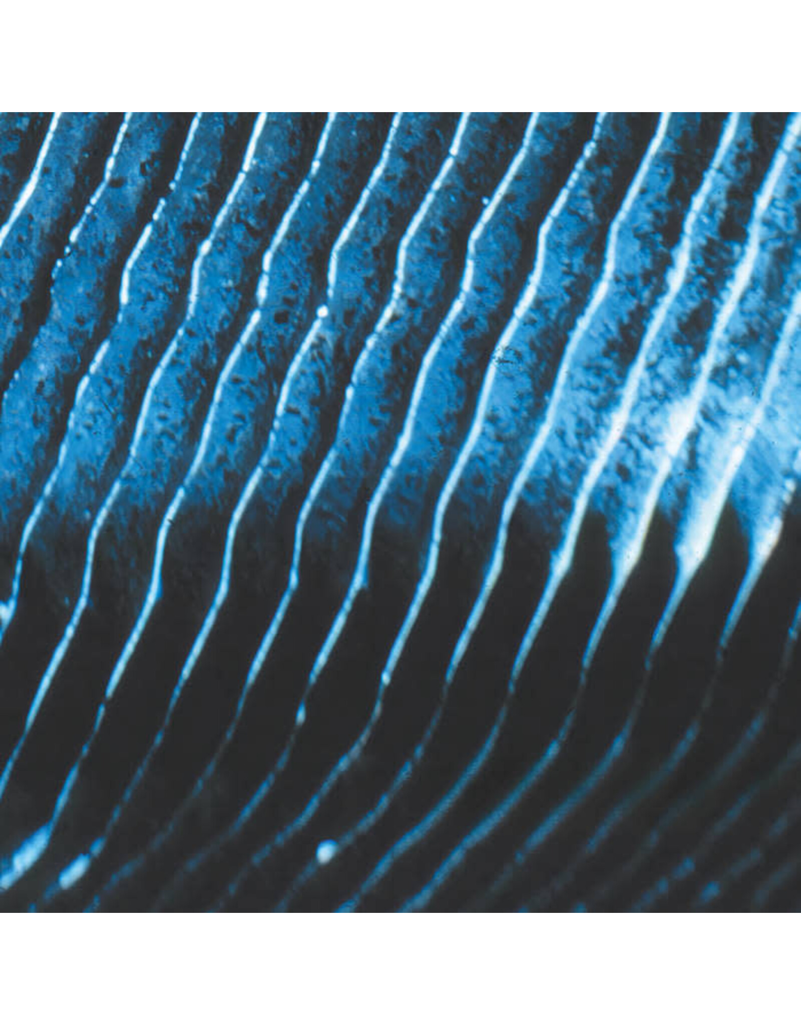Field Monolake: Gravity LP