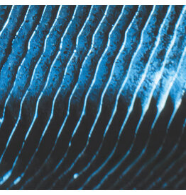 Field Monolake: Gravity LP
