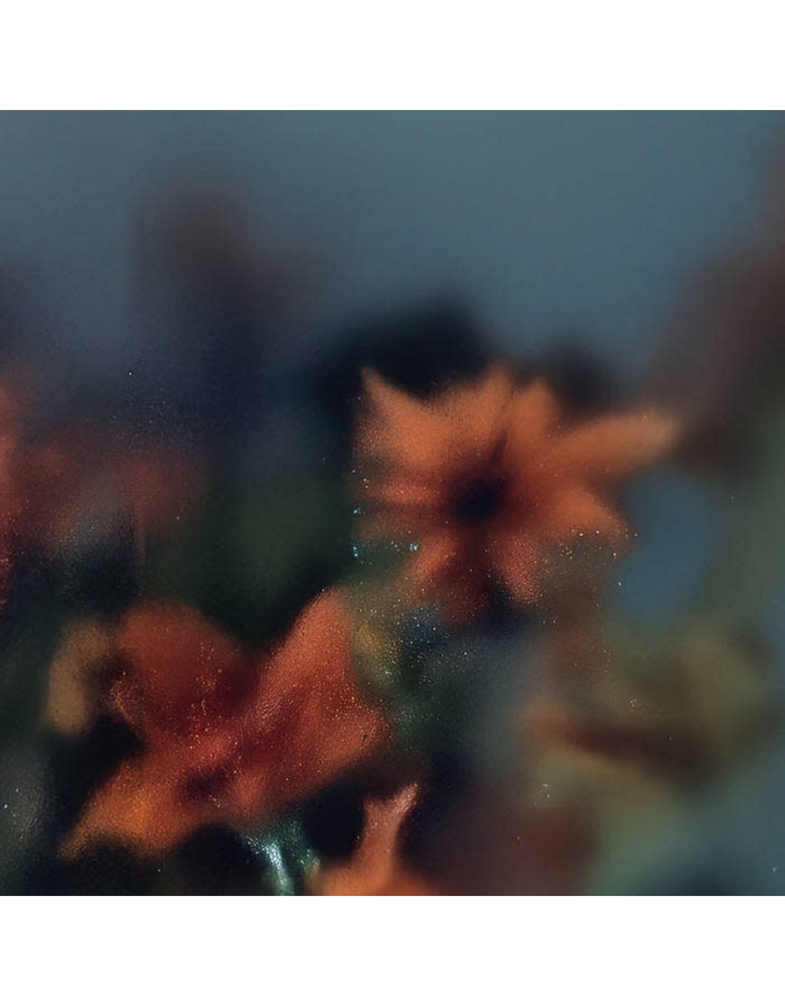 Erik M: Soft Wish LP