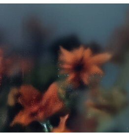 Erik M: Soft Wish LP