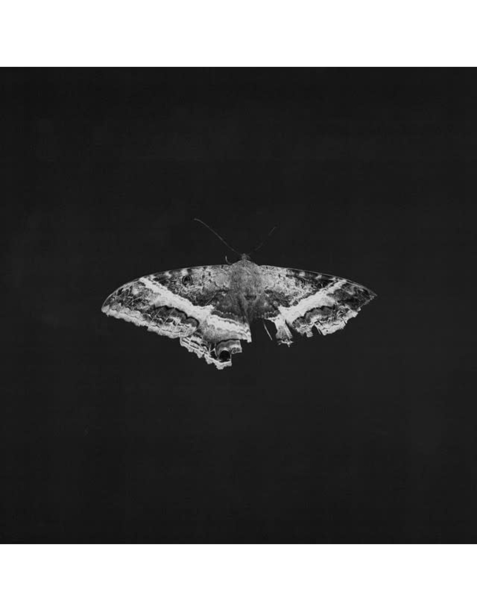 Aftermath Indie Exclusive Lamar, Kendrick: To Pimp A Butterfly (10 Year Anniversary Edition) - Alternate Artwork LP