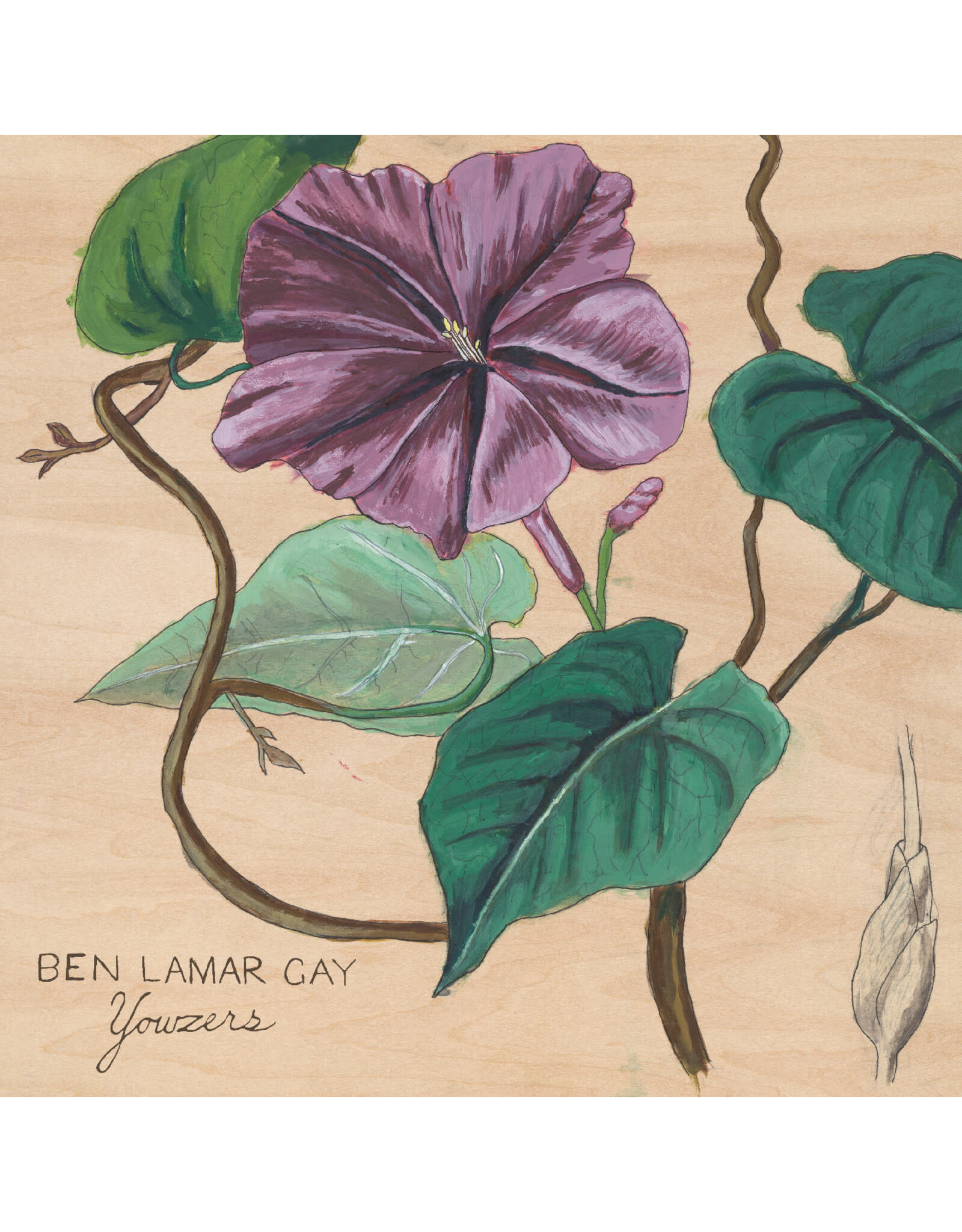International Anthem Gay, Ben LaMar: Yowzers (IPOMOEA JALAPA MARBLE PINK VINYL) LP
