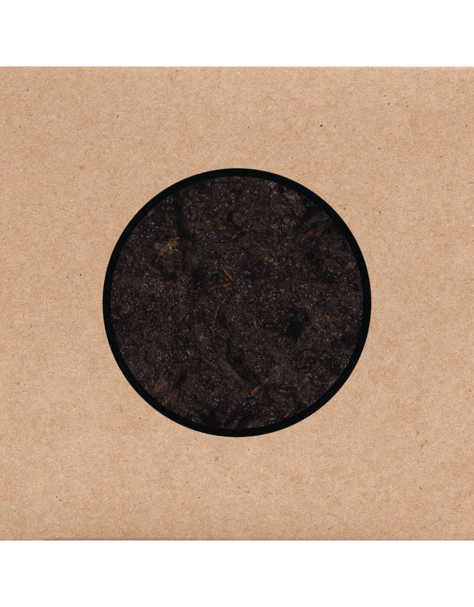 Young God Swans: Birthing LP