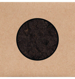 Young God Swans: Birthing LP