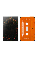 Ghostly C418: Minecraft Volume Beta (random coloured shell) CS