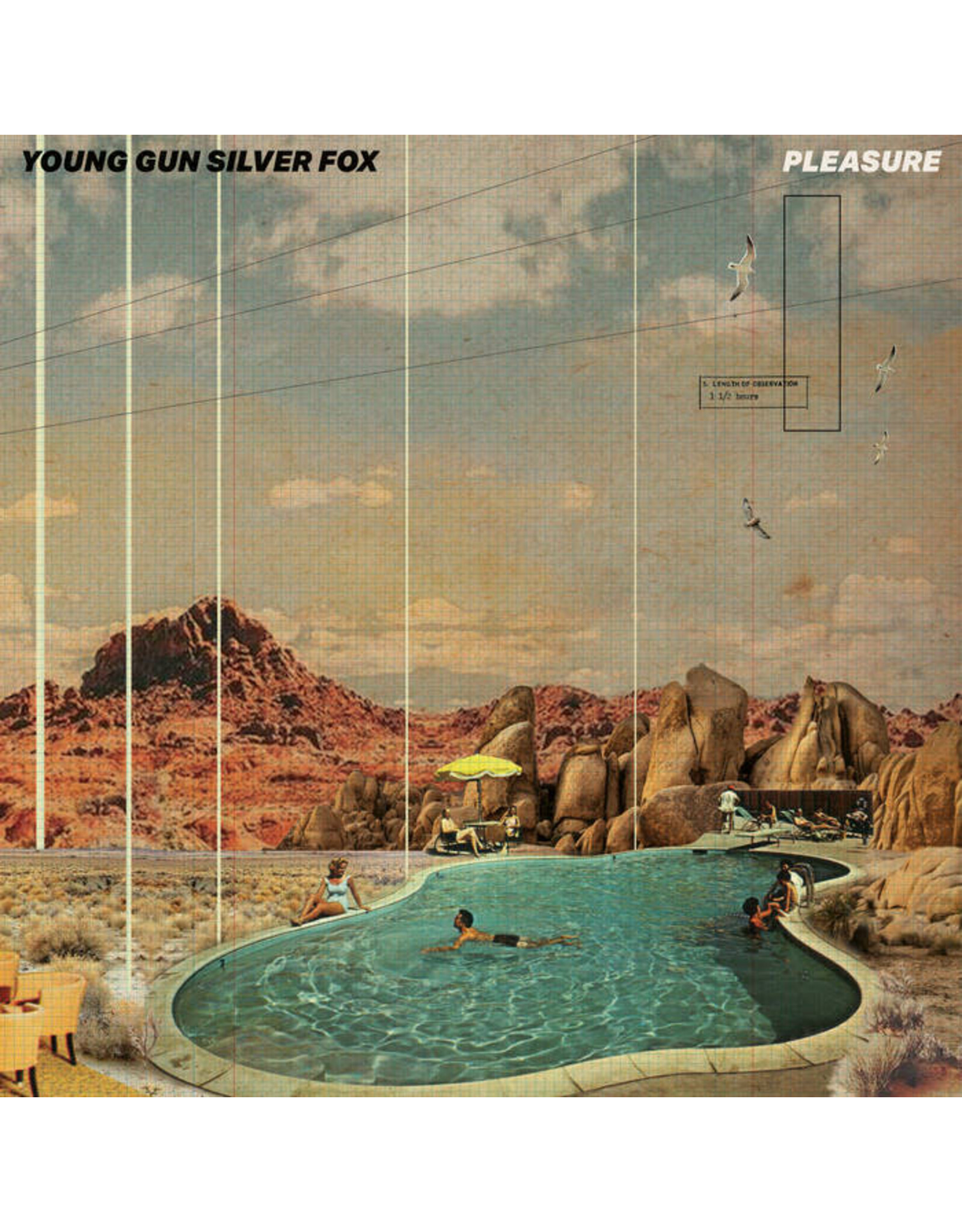 Young Gun Silver Fox: Pleasure LP