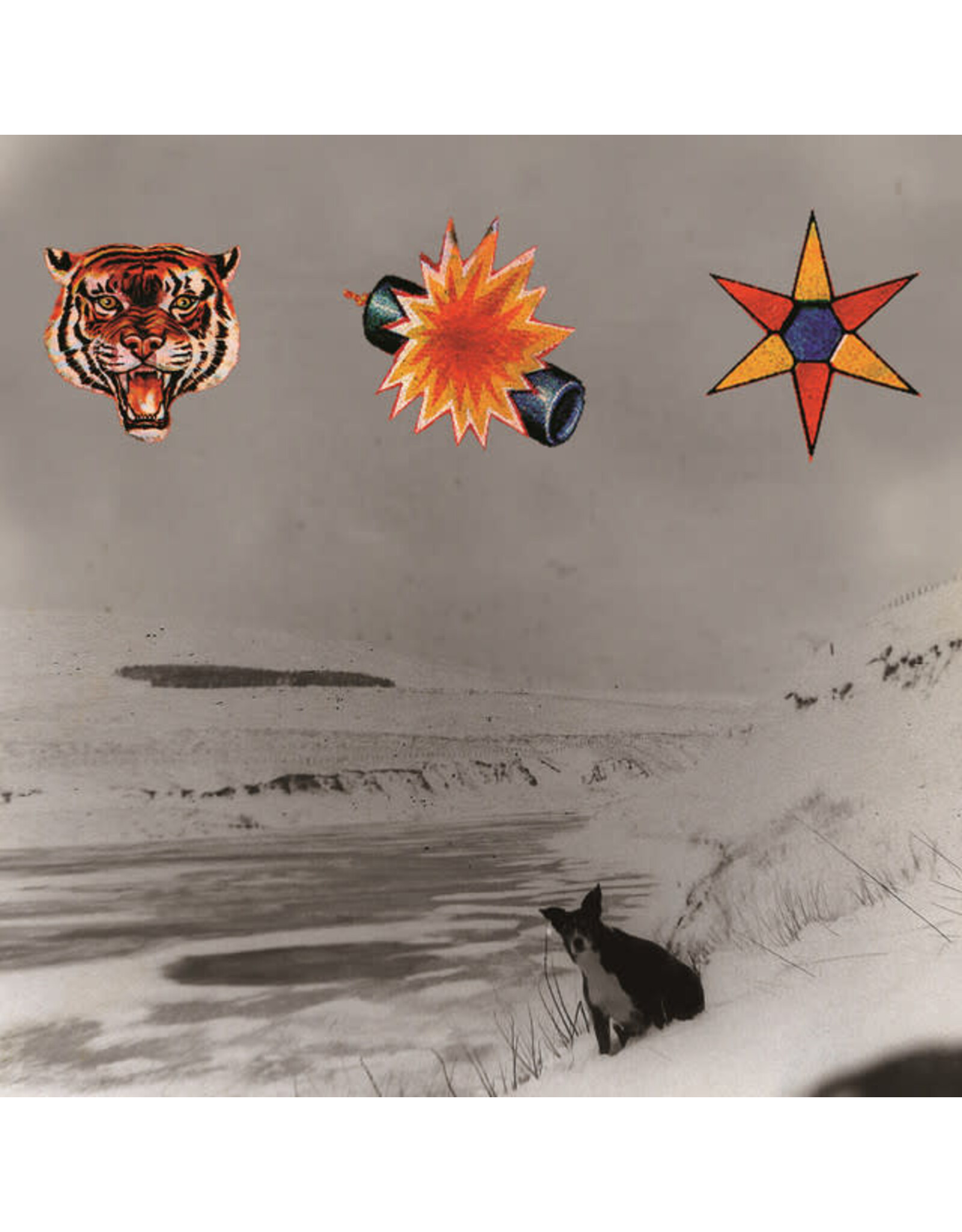 Because Beta Band: The Three Eps LP