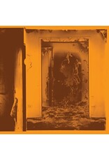 Trouble In Mind FACS: Present Tense (molten metal coloured) LP