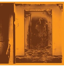 Trouble In Mind FACS: Present Tense (molten metal coloured) LP