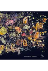 Roedelius, Hans-Joachim: Pink, Blue and Amber LP