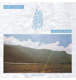 100% Silk René Najera: Painted Life LP