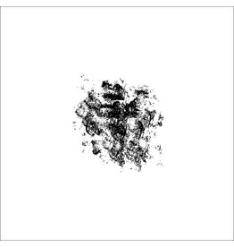 False Aralia Iri.gram: False 04 LP