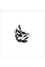 False Aralia Zero Key: False 01 LP