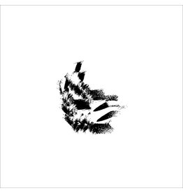 False Aralia Zero Key: False 01 LP