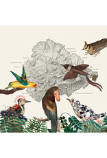 We Are Busy Bodies Friendly Rich: The Birds of Marsville LP