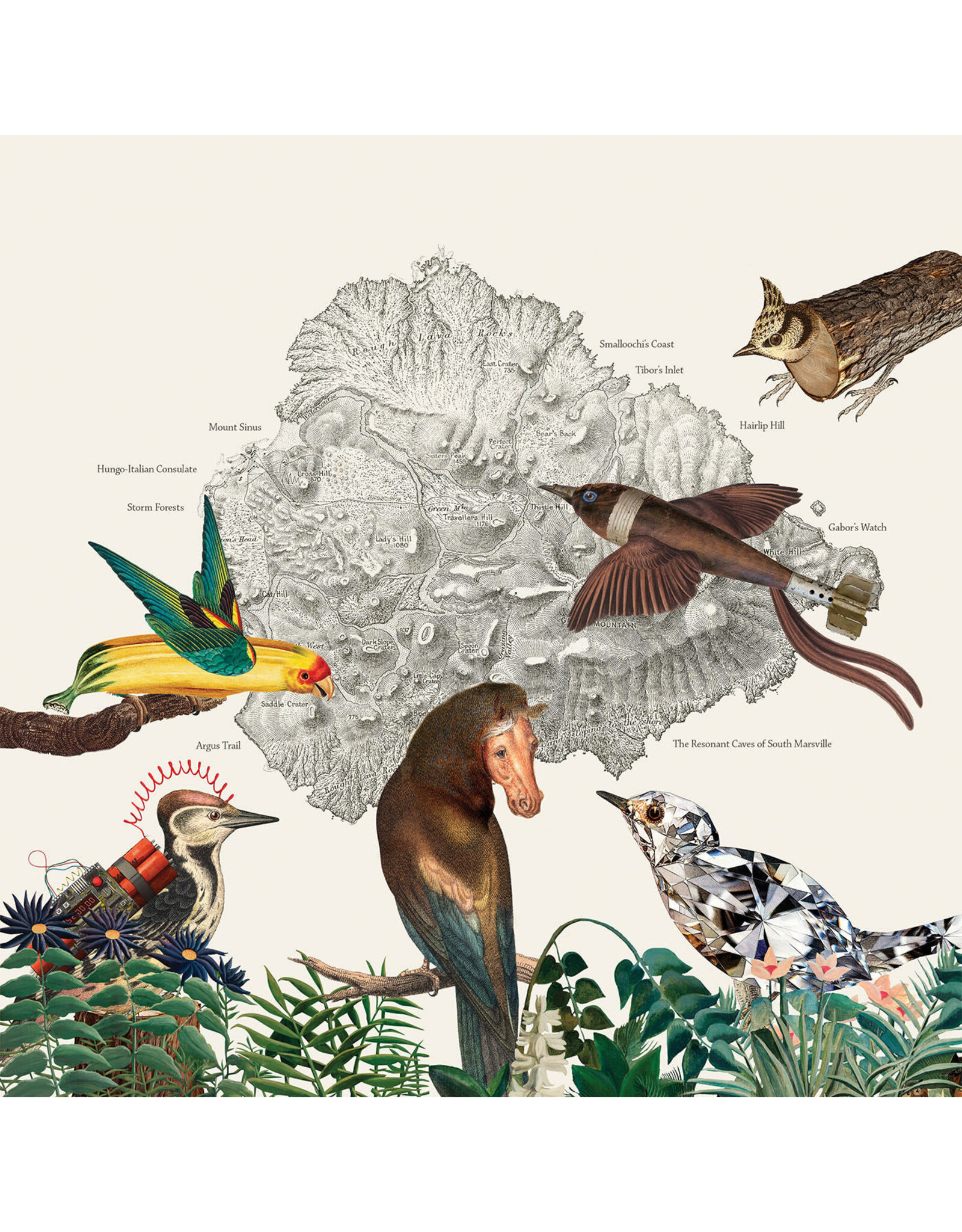 We Are Busy Bodies Friendly Rich: The Birds of Marsville LP