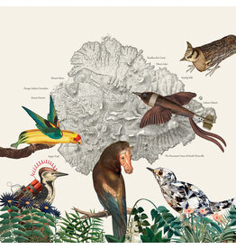 We Are Busy Bodies Friendly Rich: The Birds of Marsville LP