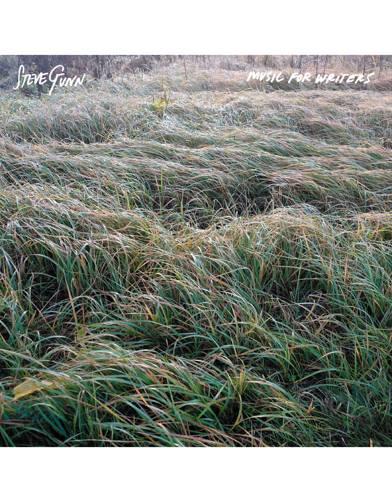 Three Lobed Gunn, Steve: Music For Writers (OPAQUE ORANGE VINYL) LP