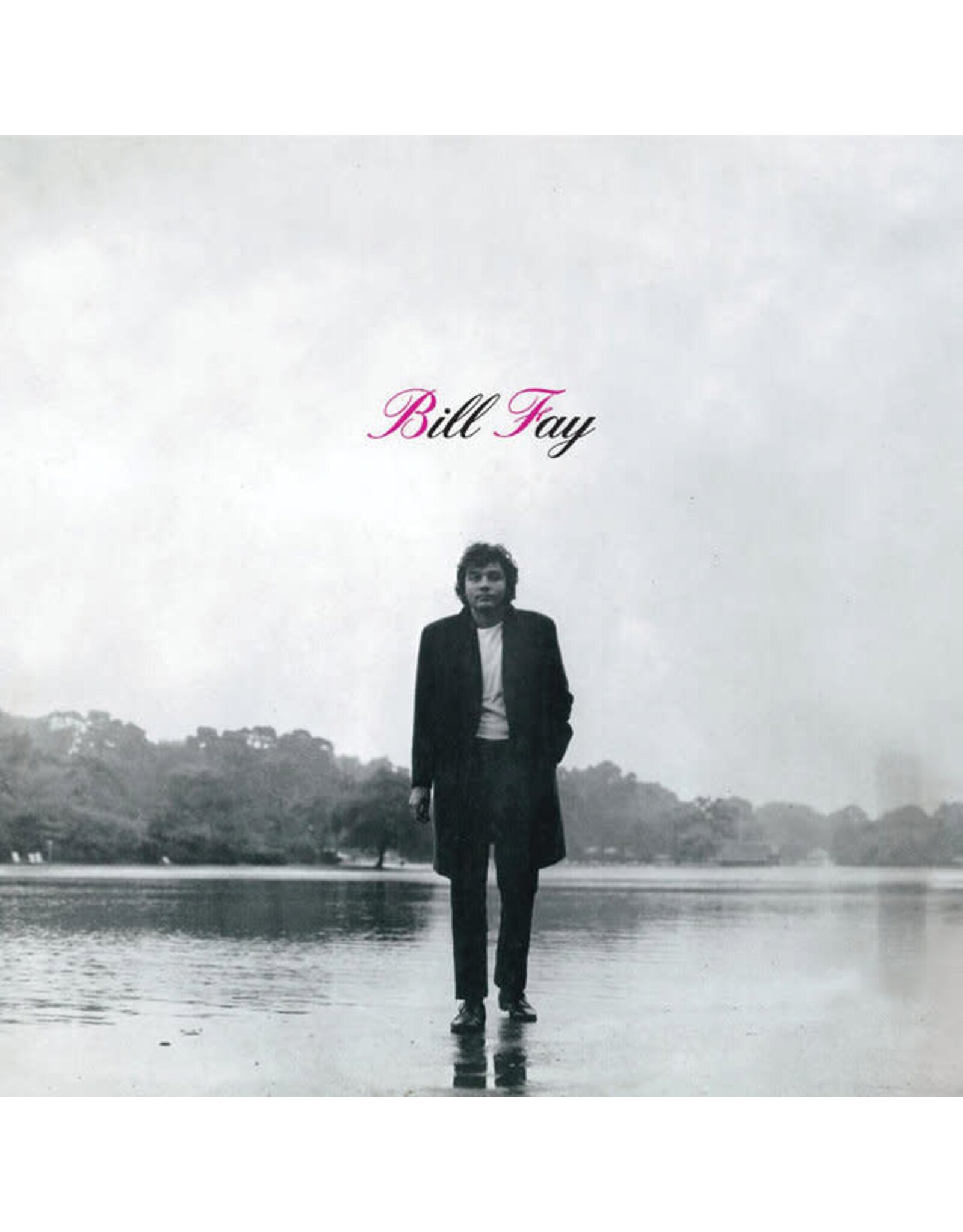Endless Happiness Fay, Bill: Bill Fay LP