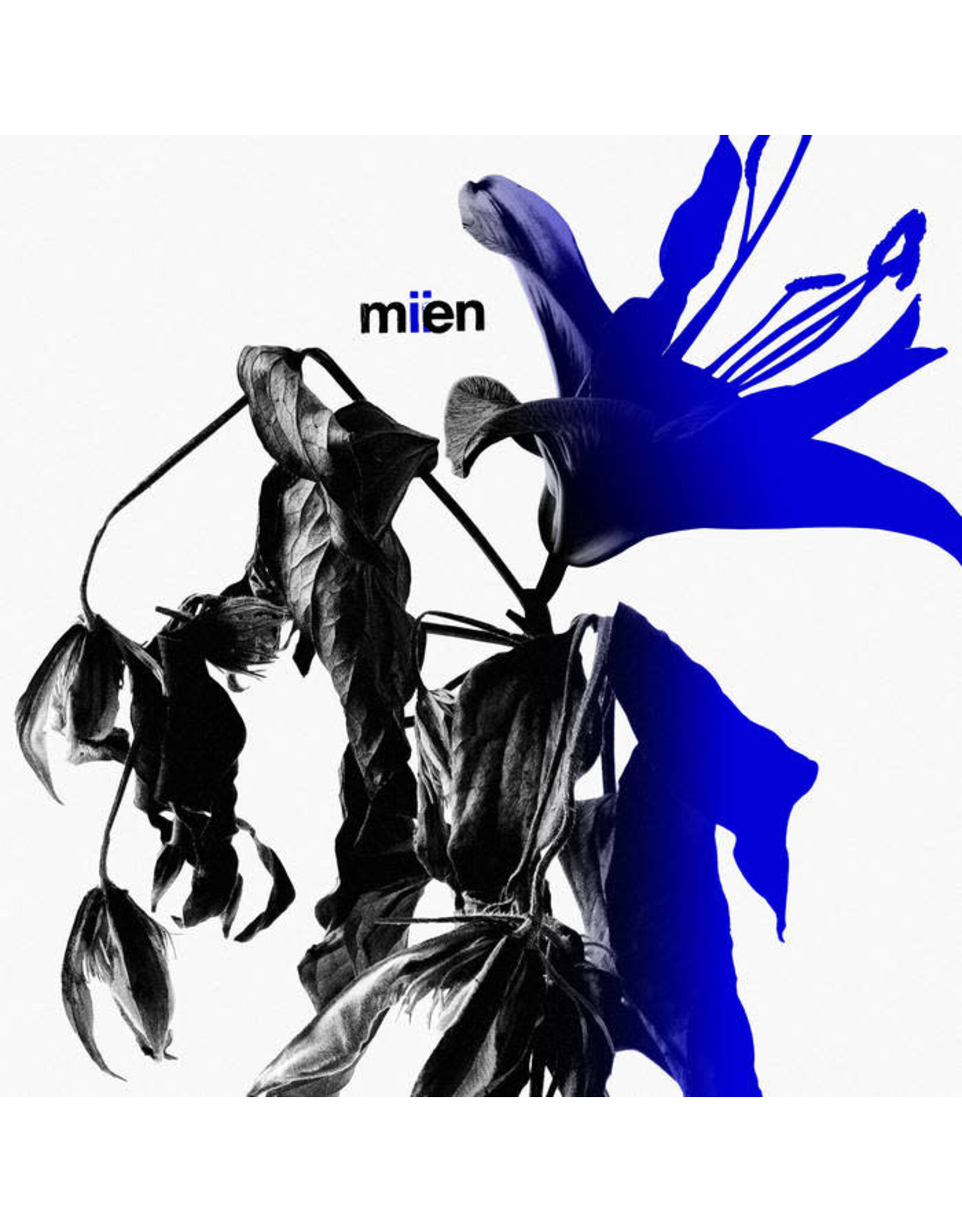 Fuzz Club MIEN: MIIEN LP