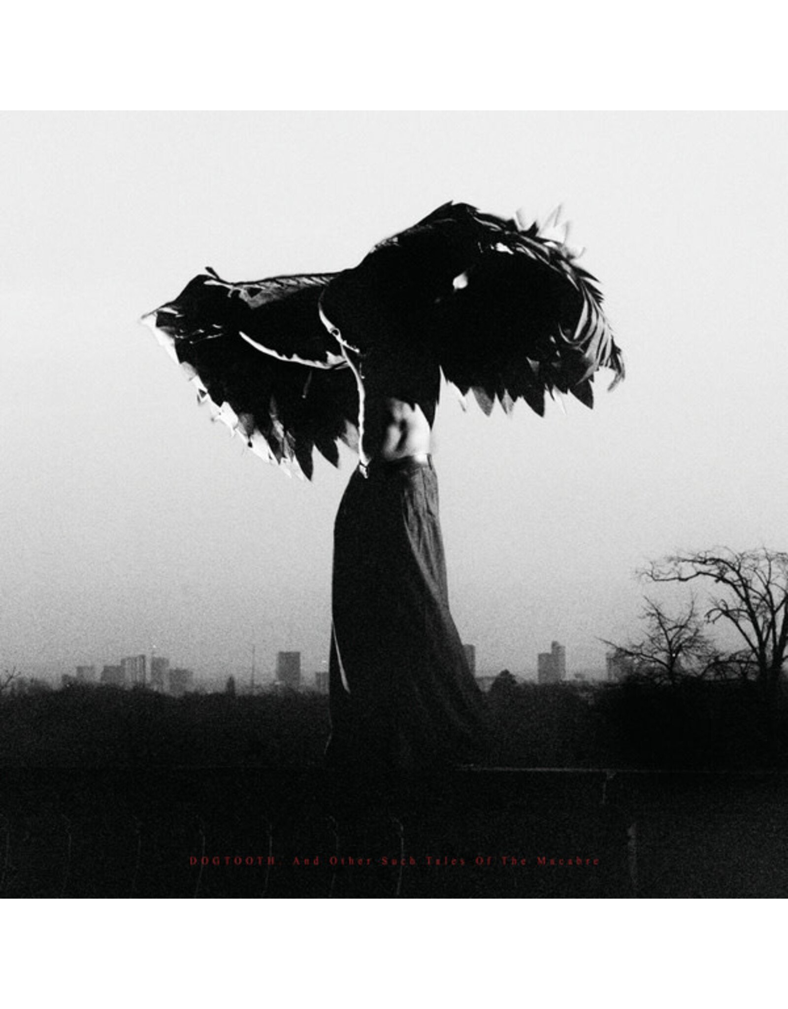 Lintd: ‘DOGTOOTH. And Other Such Tales of The Macabre LP