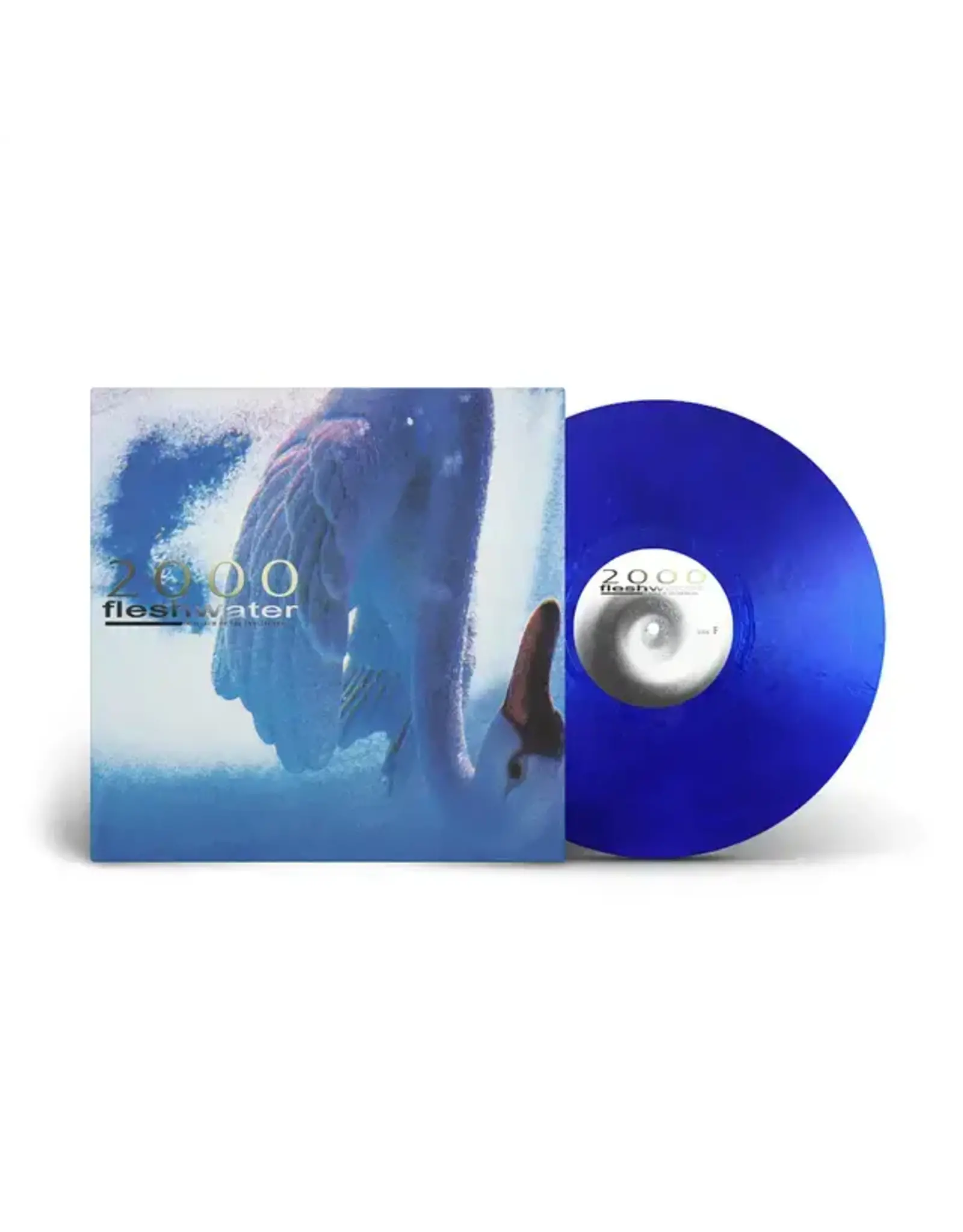 Closed Casket Fleshwater: 2000: In Search of the Endless Sky LP