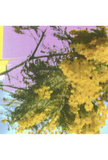 XL Four Tet: Into Dust (Still Falling) LP