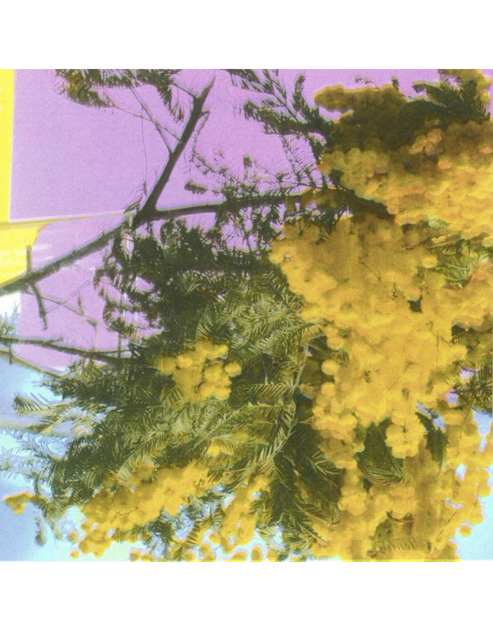 XL Four Tet: Into Dust (Still Falling) LP