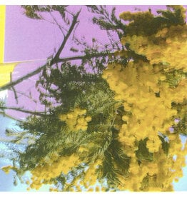 XL Four Tet: Into Dust (Still Falling) LP