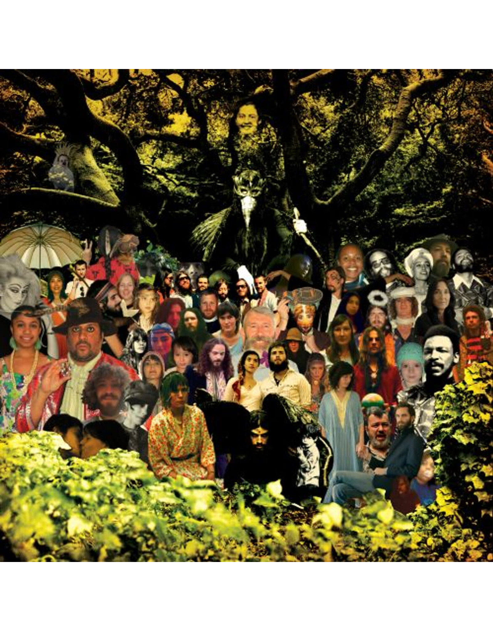 Banhart, Devendra: Cripple Crow (3LP-20th anniversary delxue edition) LP