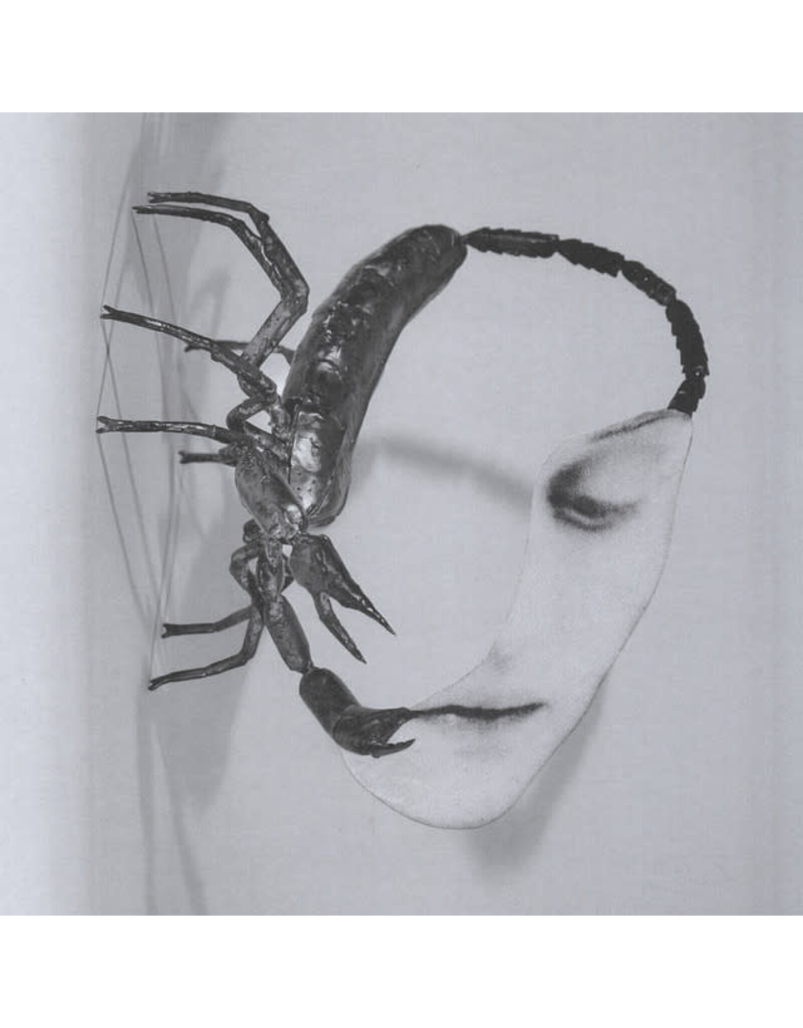 International Anthem Tortoise: Touch LP