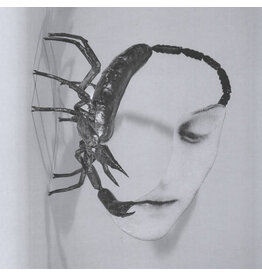 International Anthem Tortoise: Touch LP