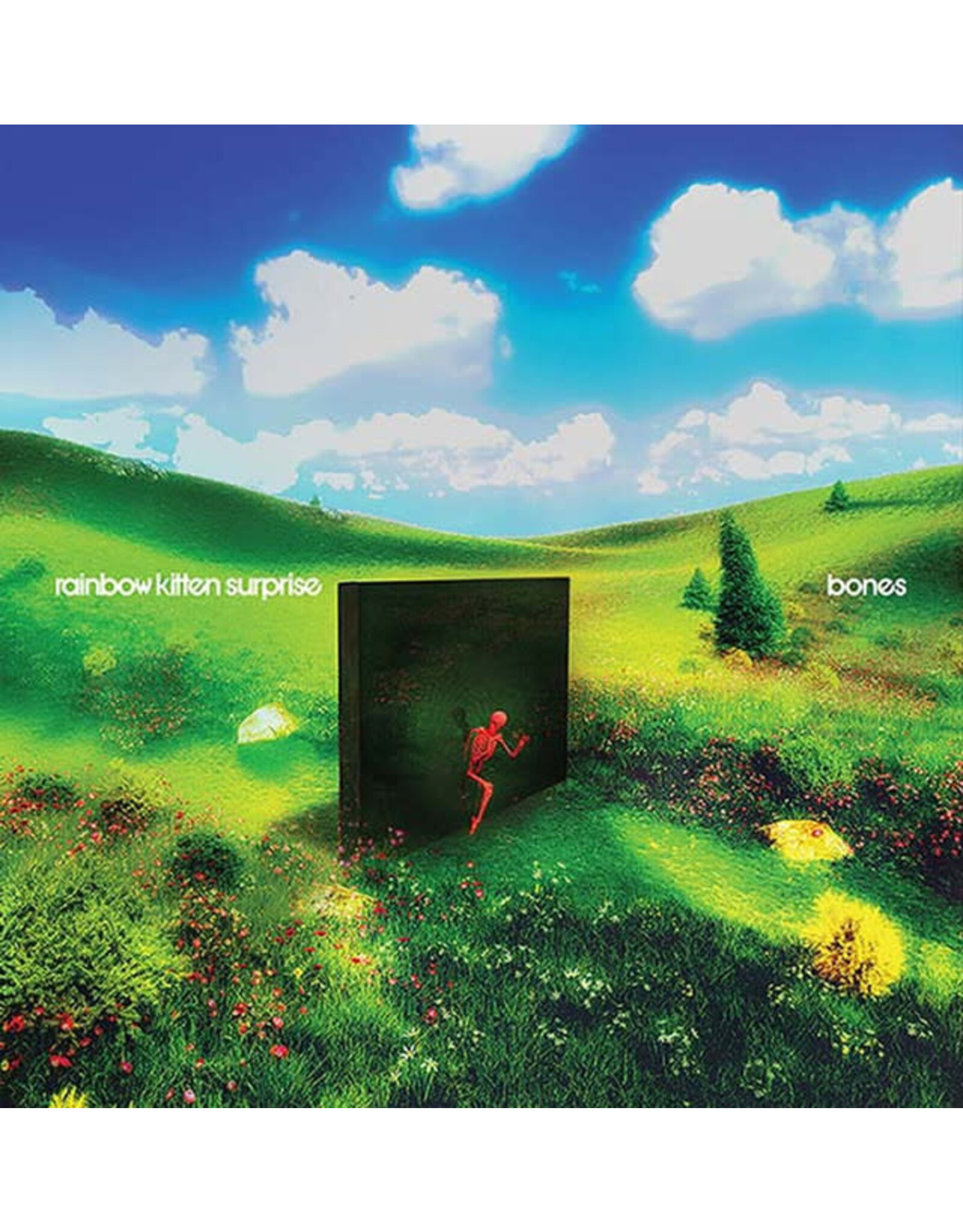 Atlantic Rainbow Kitten Surprise: Bones LP
