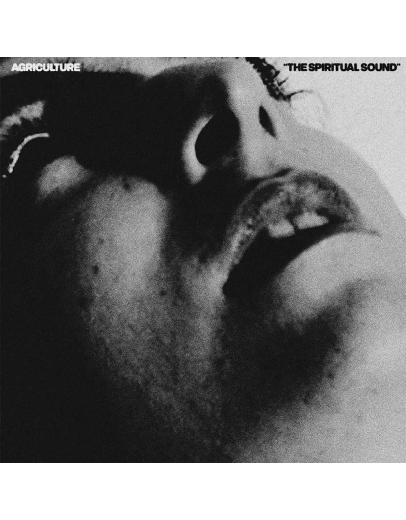 Flenser Agriculture: (color) The Spiritual Sound LP