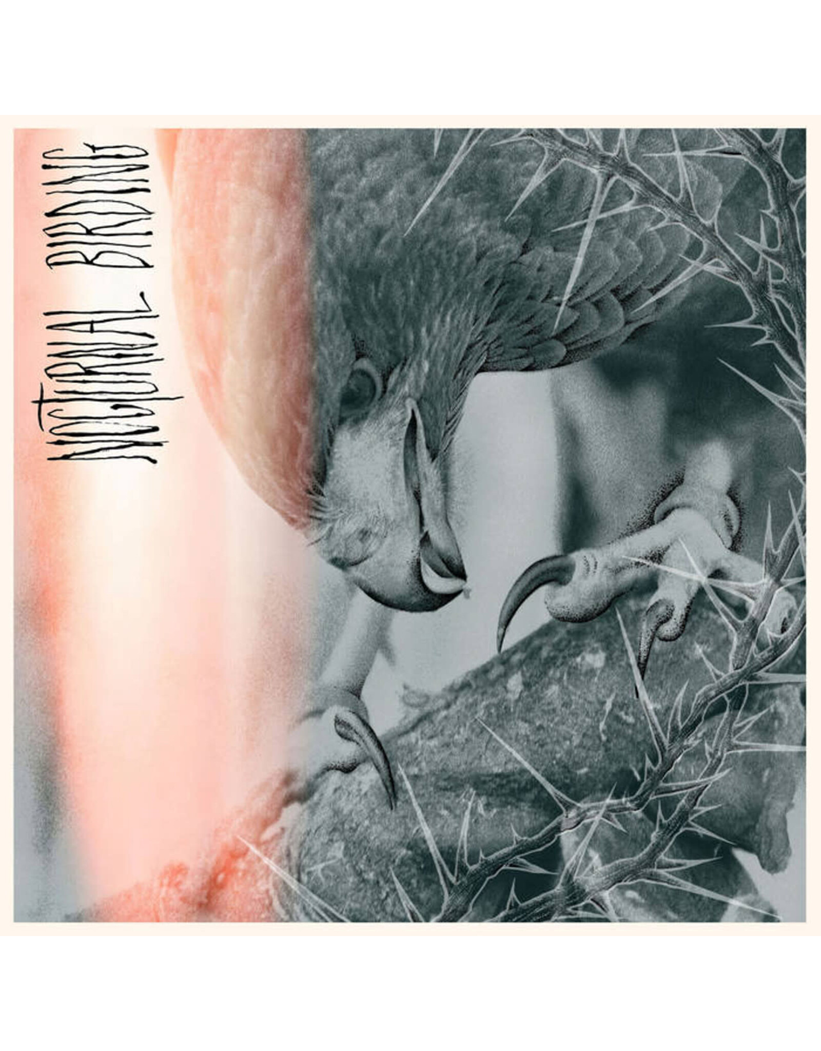 Relapse Author & Punisher: Nocturnal Birding LP