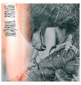 Relapse Author & Punisher: Nocturnal Birding LP